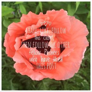 Follow Game, Like, Follow, Share, Repeat"